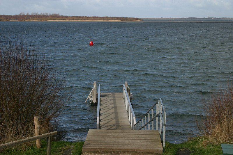 2013-02-02 13-20-25 Ludo.JPG